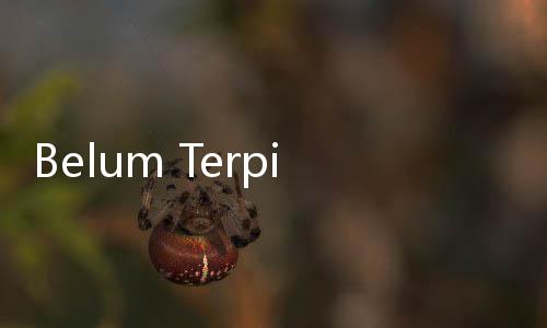 Belum Terpikir Bentuk TGUPP Pasca 11 Hari Menjabat, Heru Budi: Tergantung Selera Gubernur