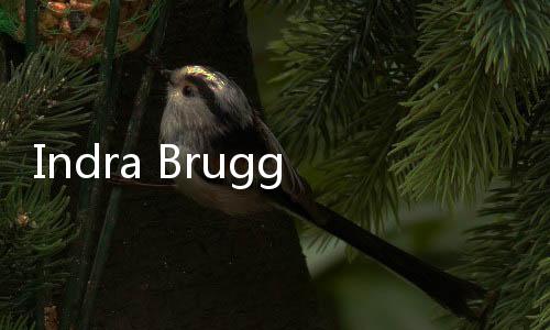 Indra Bruggman Idap Autoimun, Berat Badan Sempat Menyusut Drastis