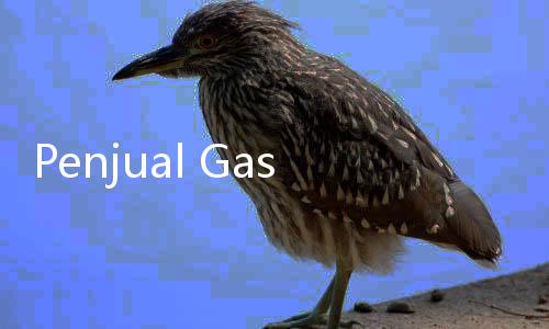 Penjual Gas 12 Kilogram Beralih Jualan Gas 3 Kilogram; Takut Nggak Ada yang Beli