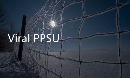 Viral PPSU Aniaya Pacar di Kemang, Wagub DKI Telepon Lurah Minta Pelaku Dipecat